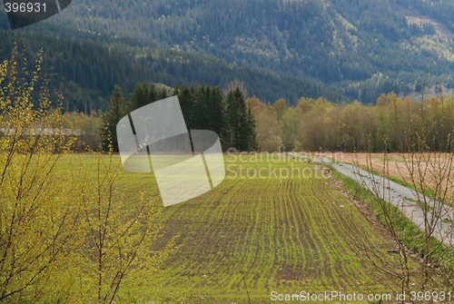 Image of Farmland in sowing season