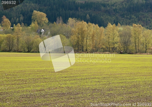 Image of Farmland in sowing season