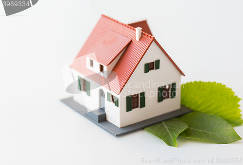 Image of close up of house model and green leaves