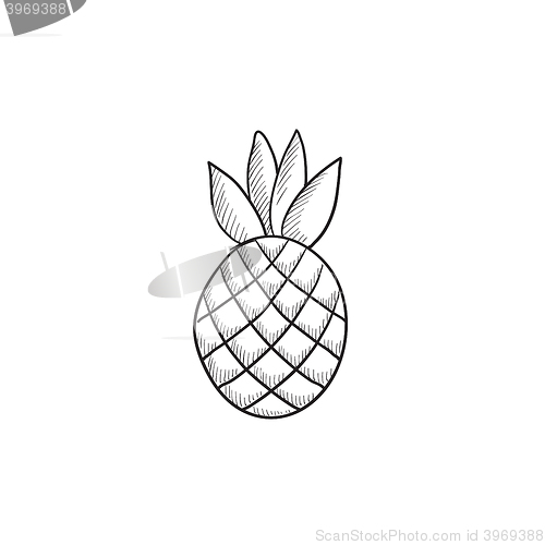 Image of Pineapple sketch icon.