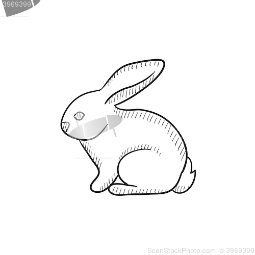 Image of Rabbit sketch icon.