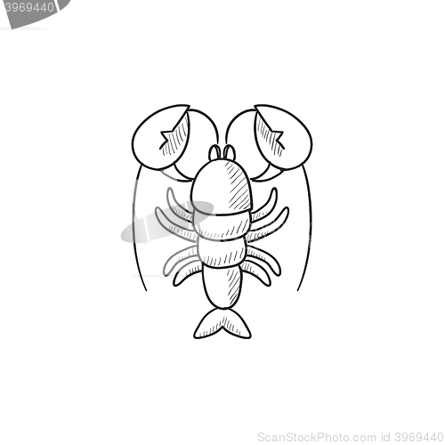 Image of Lobster sketch icon.