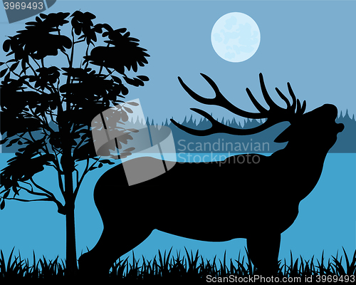 Image of Silhouette of the deer