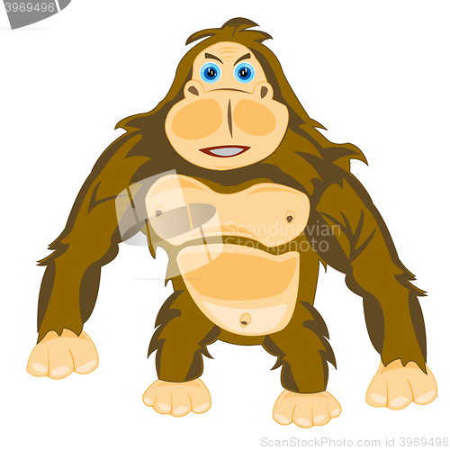 Image of Animal gorilla