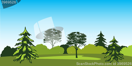 Image of Timber landscape
