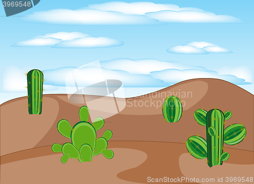 Image of Cactuses in desert