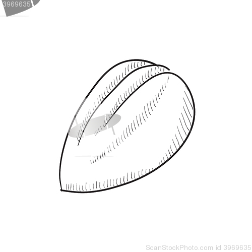 Image of Almond sketch icon.