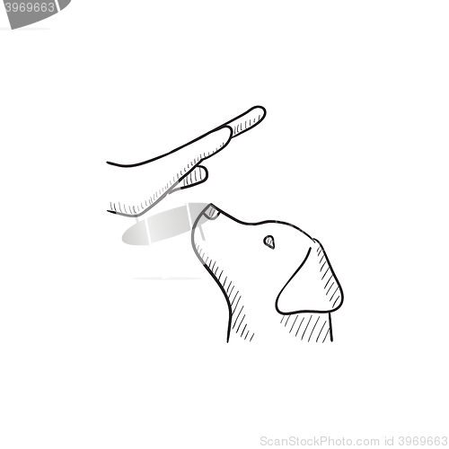 Image of Dog training sketch icon.