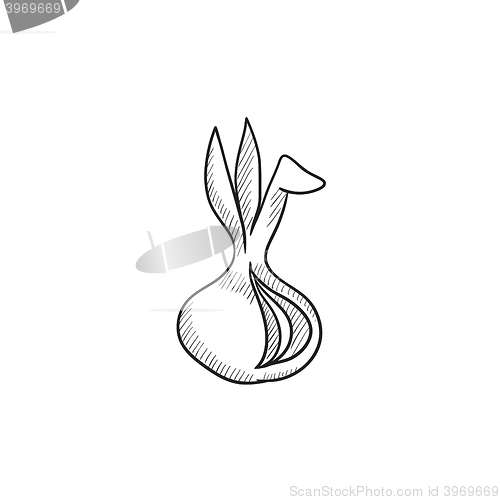 Image of Onion sketch icon.