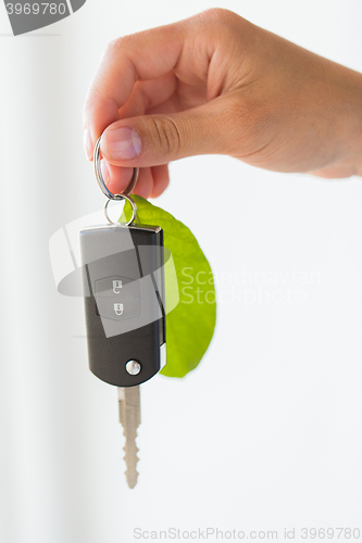 Image of close up of hand holding car key with green leaf