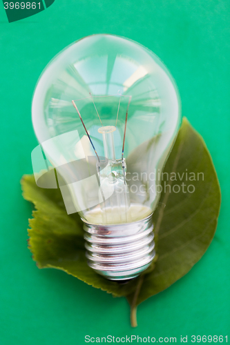 Image of close up of bulb or incandescent lamp on green