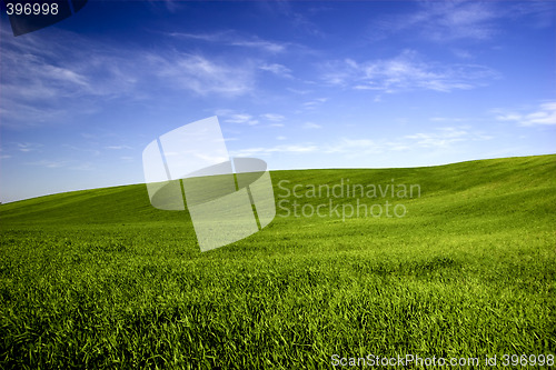 Image of Spring field