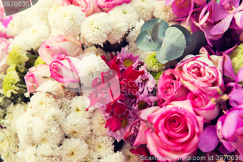 Image of beautiful flowers assortment