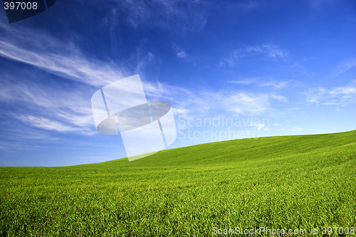 Image of Spring field