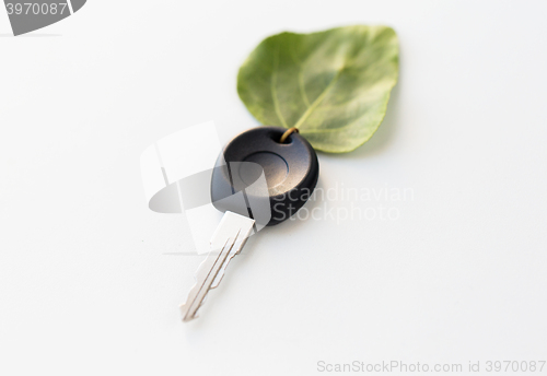 Image of close up of car key and green leaf