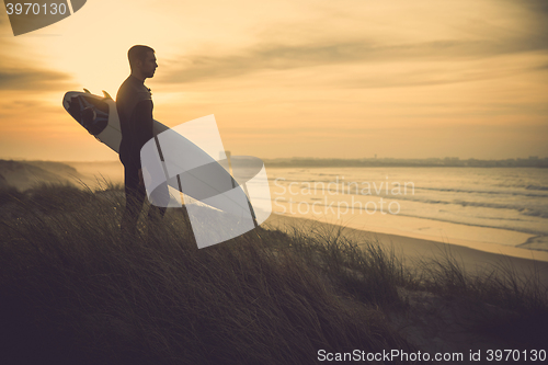 Image of Searching for the swell