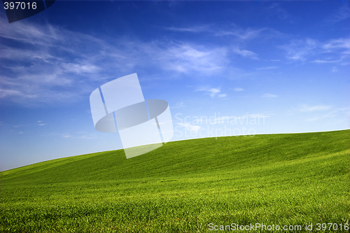 Image of Spring field