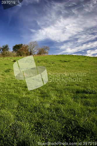 Image of Spring field