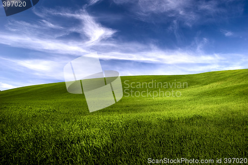 Image of Spring field