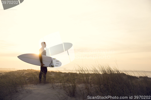 Image of Searching for the swell