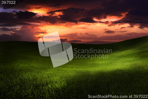 Image of Beautiful sunset on a green meadow