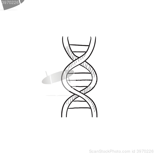Image of DNA sketch icon.