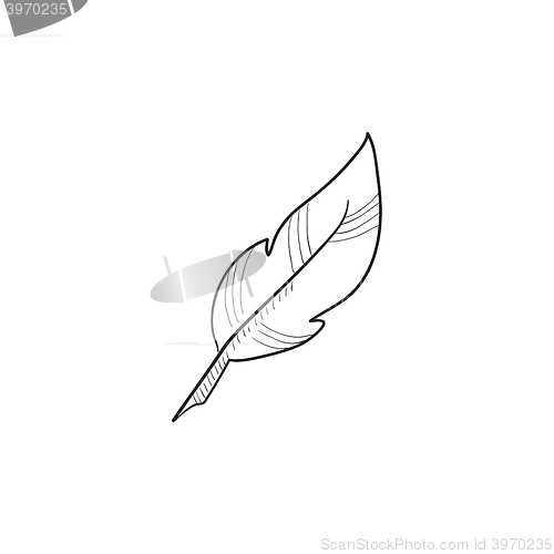 Image of Feather sketch icon.