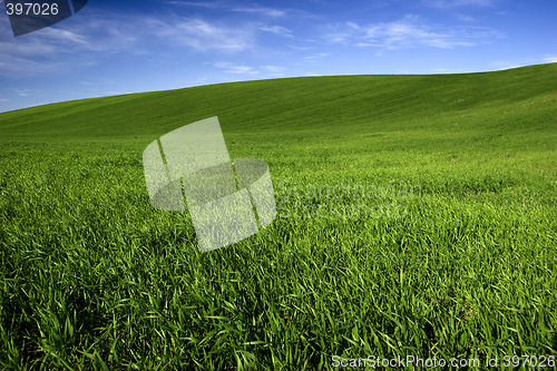 Image of Spring field