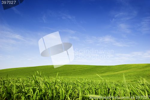 Image of Spring field