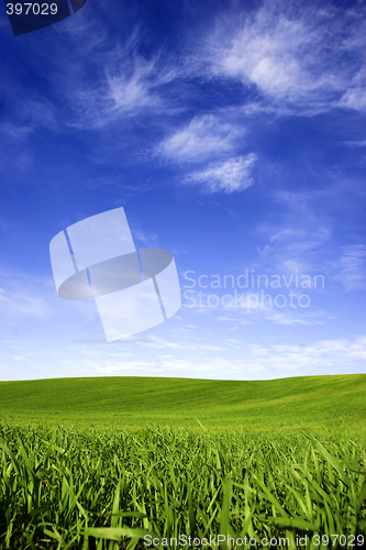 Image of Spring field