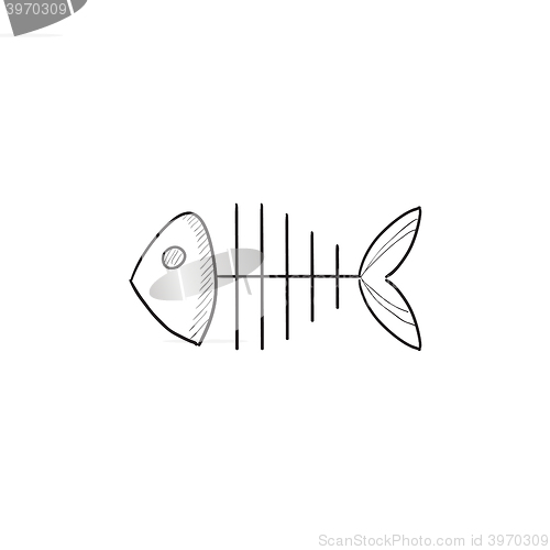Image of Fish skeleton sketch icon.