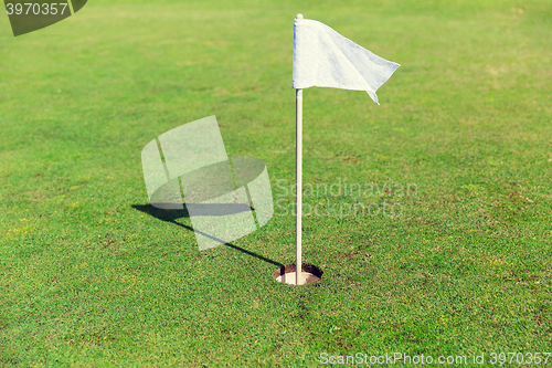 Image of close up of flag mark in hole on golf field