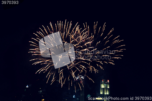 Image of beautiful fireworks at night city sky