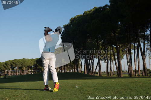 Image of golf player