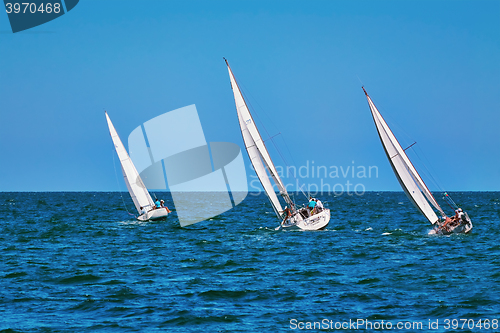 Image of Moment of Yacht Race
