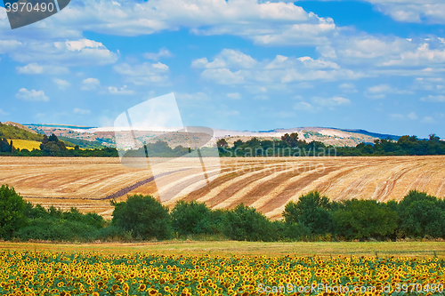 Image of Agricultural Fields in Bulgaria