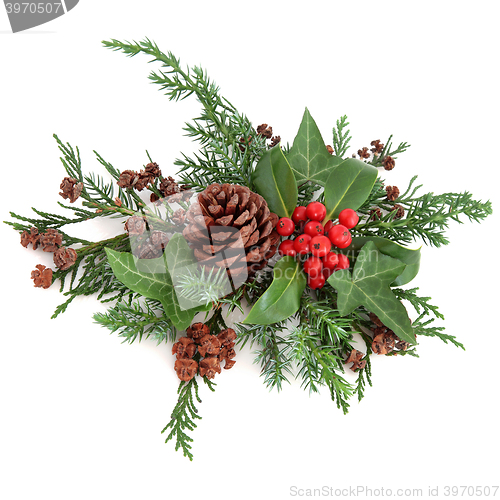 Image of Winter Floral Arrangement