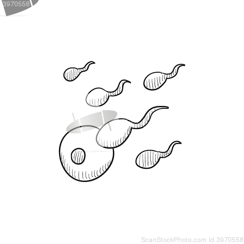 Image of Fertilization sketch icon.