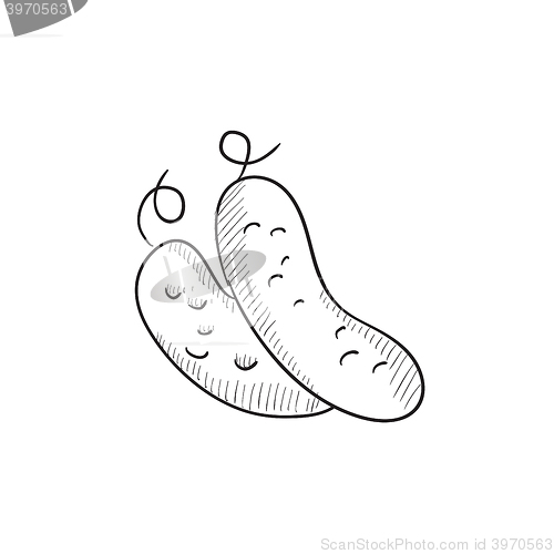 Image of Cucumber sketch icon.