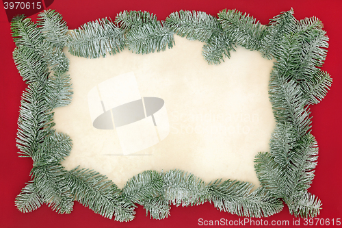 Image of Christmas Spruce Fir Background Border