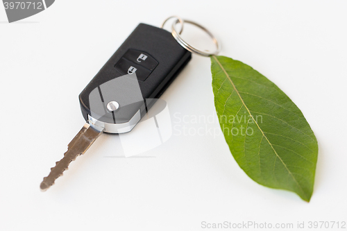 Image of close up of car key and green leaf