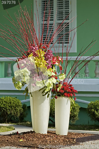 Image of Pots of flowers