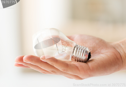 Image of close up of hand holding edison lamp or lightbulb