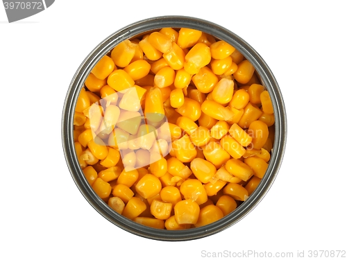 Image of Canned corn on white
