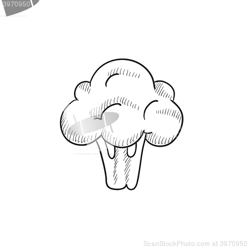 Image of Broccoli sketch icon.