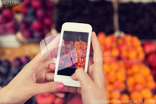 Image of hands with smartphone taking picture of fruits