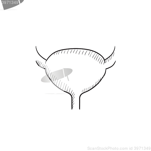 Image of Urinary bladder sketch icon.