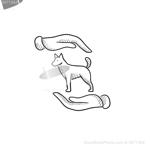 Image of Pet care sketch icon.