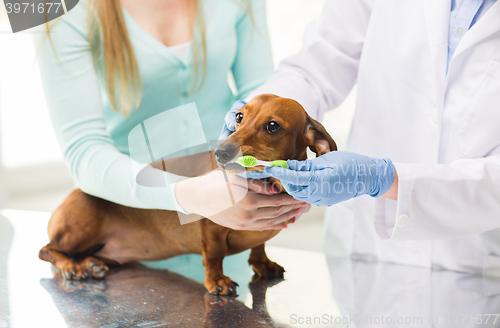 Image of close up of veterinarian brushing dog teeth