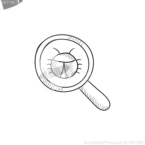 Image of Bug under magnifying glass sketch icon.